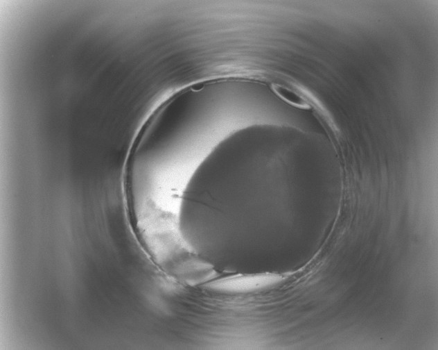 X0000066531291200603201350