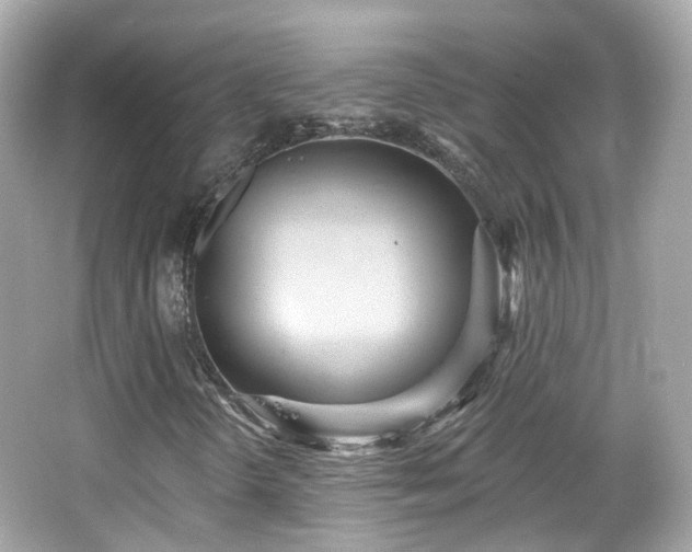 X0000066531298200603201349