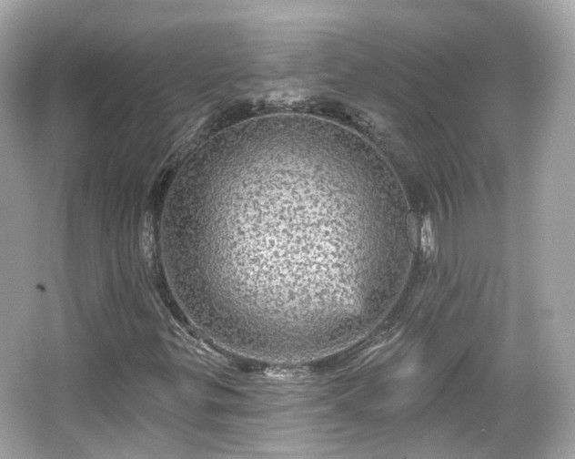 X0000066531299200603201349