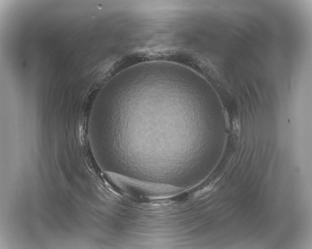 X0000066531300200603201349