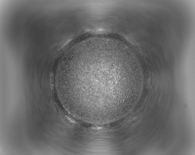 X0000066531301200603201349