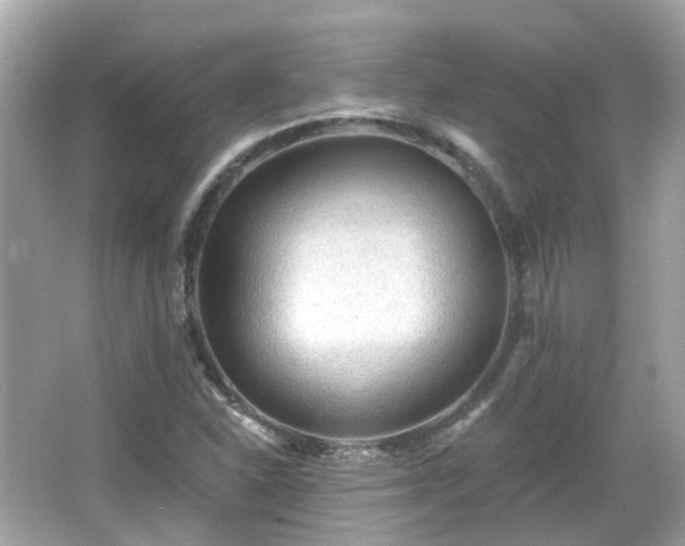 X0000066531310200603201349