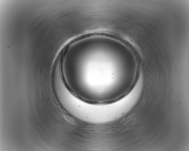 X0000066531316200603201349