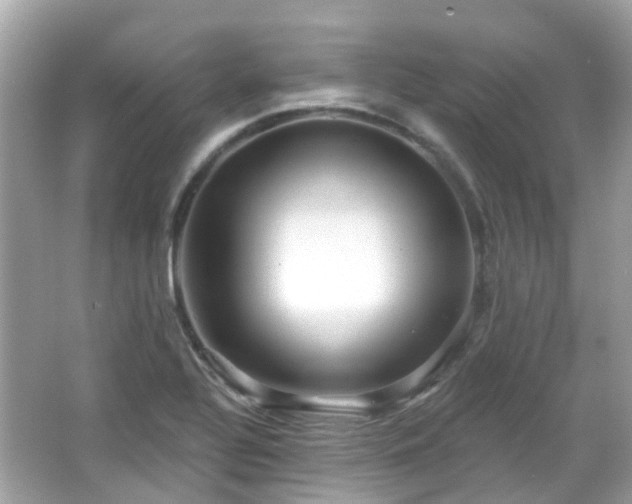 X0000066531320200603201349