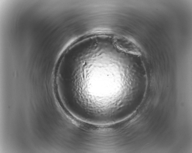 X0000066531325200603201349