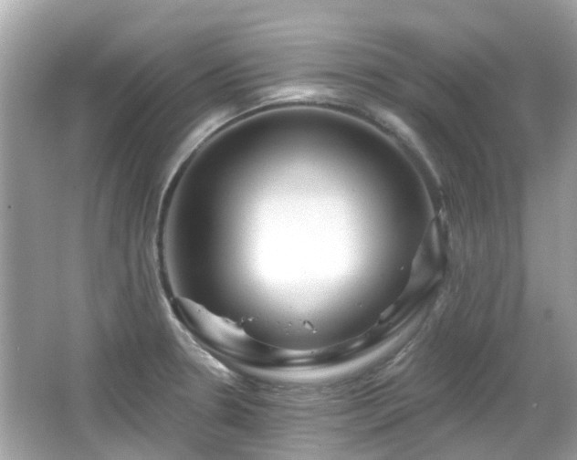 X0000066531330200603201350