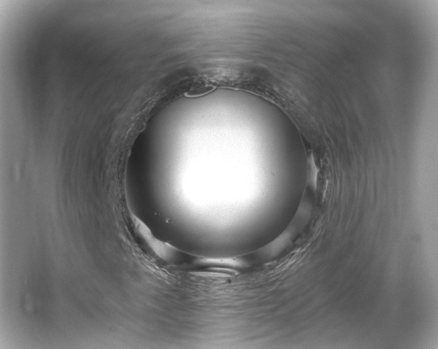 X0000066531345200603201349
