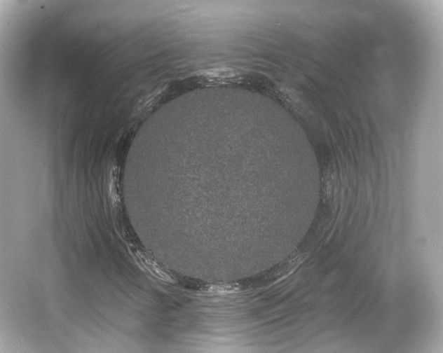X0000066531346200603201349
