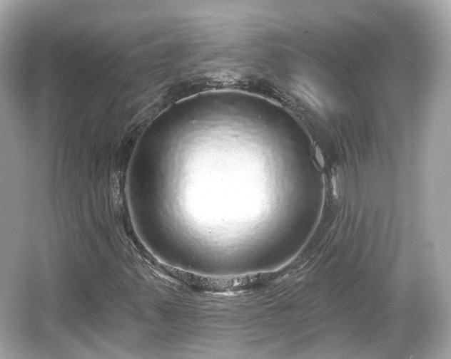 X0000066531347200603201349