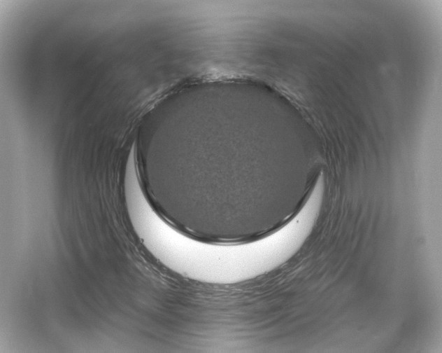 X0000066531348200603201349