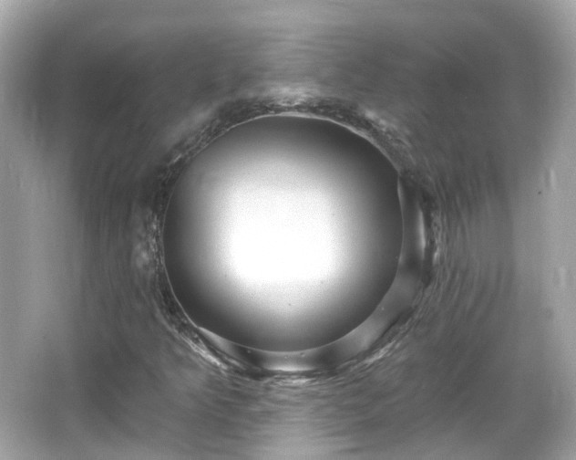 X0000066531349200603201349