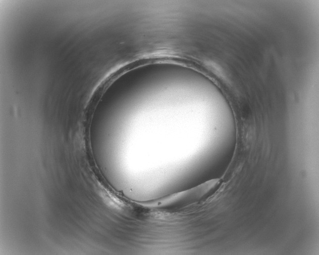 X0000066531356200603201349