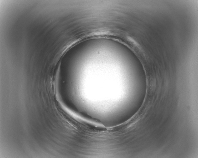 X0000066531361200603201349