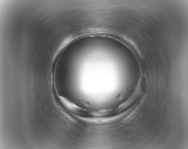 X0000066531365200603201349