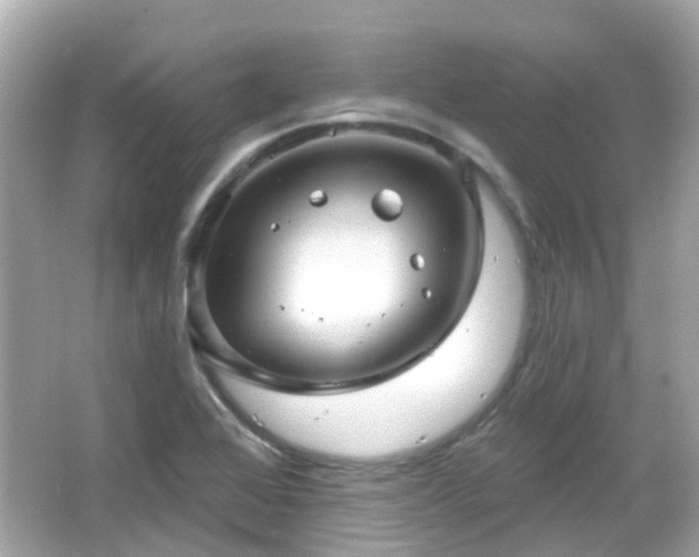X0000066531368200603201349