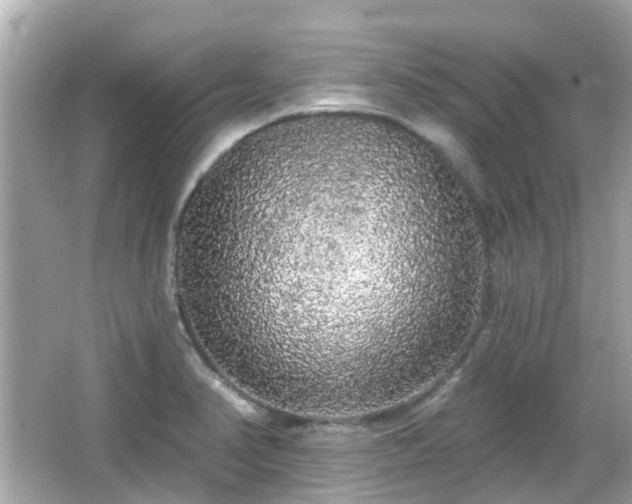 X0000066531374200603201349