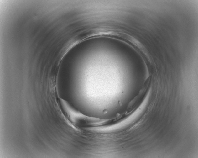X0000066531377200603201348