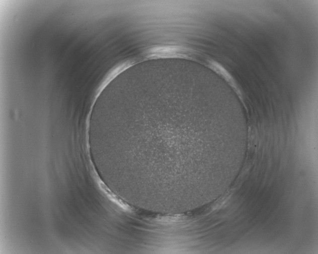 X0000066531386200603201348