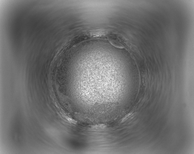 X0000066531393200603201347
