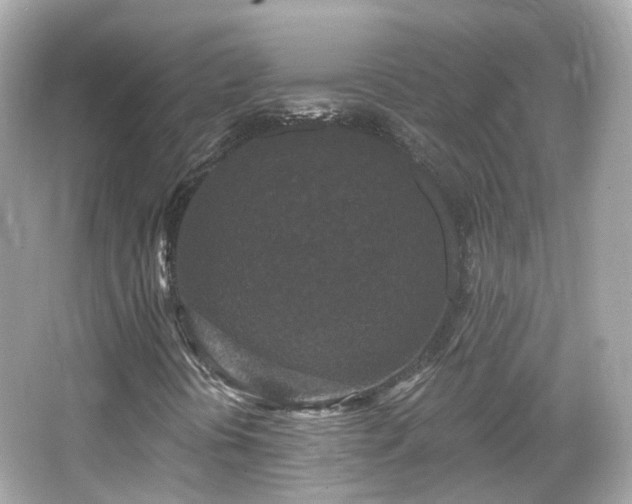 X0000066531394200603201347