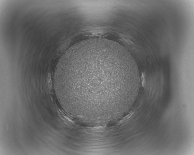 X0000066531395200603201347