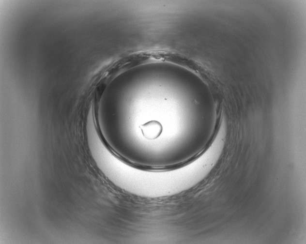 X0000066531398200603201347