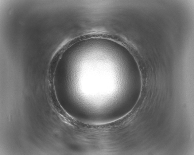 X0000066531400200603201348