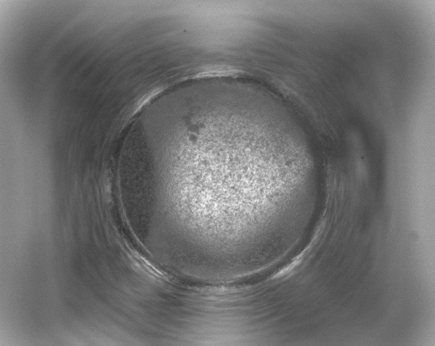 X0000066531401200603201348