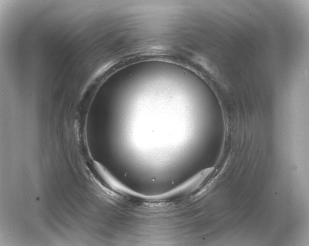 X0000066531402200603201348