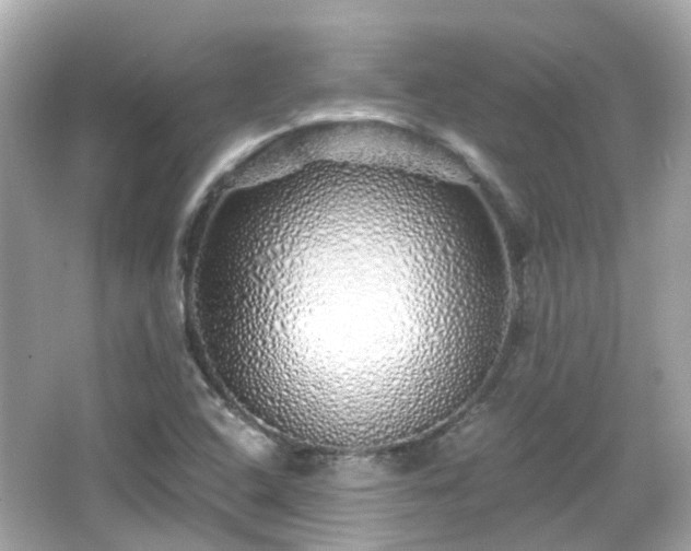 X0000066531408200603201348
