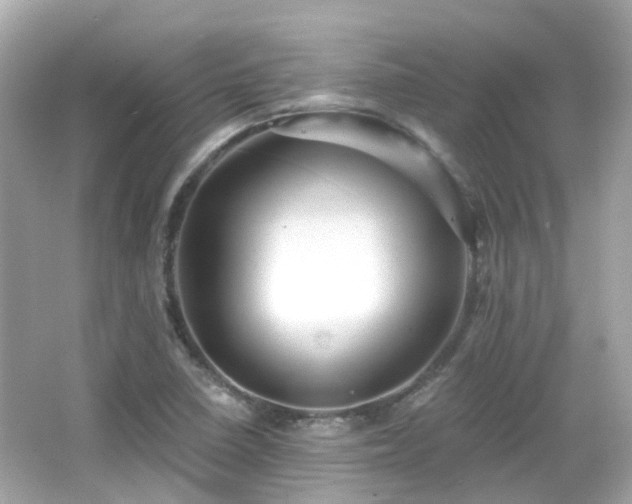 X0000066531410200603201348