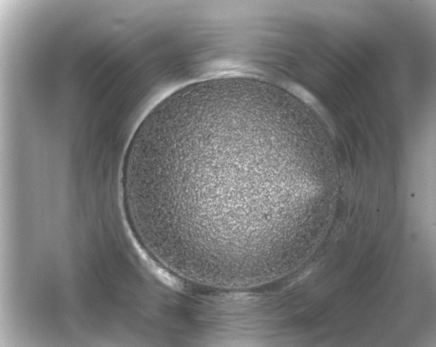 X0000066531431200603201348