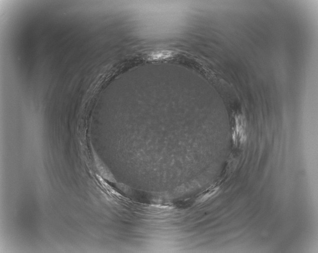 X0000066531441200603201347