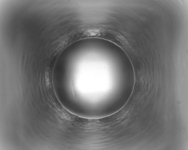 X0000066531442200603201347