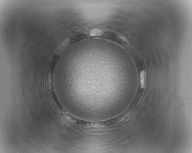 X0000066531443200603201347