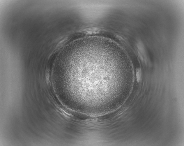 X0000066531444200603201347
