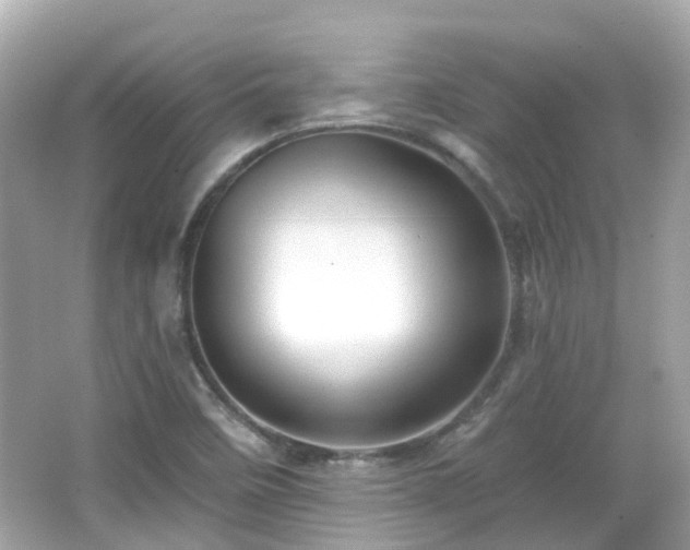 X0000066531458200603201347