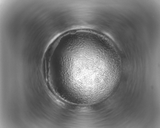 X0000066531460200603201347