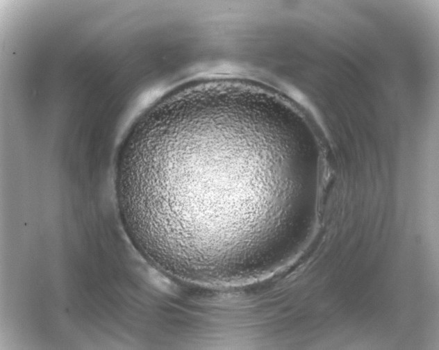 X0000066531464200603201347