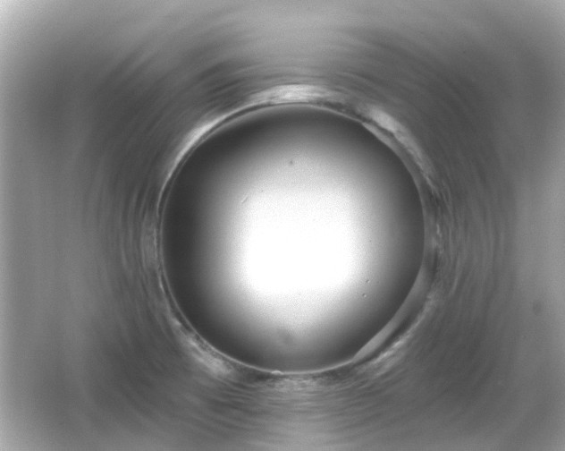 X0000066531473200603201347