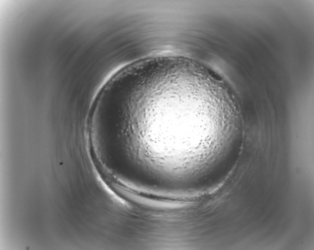 X0000066531476200603201347