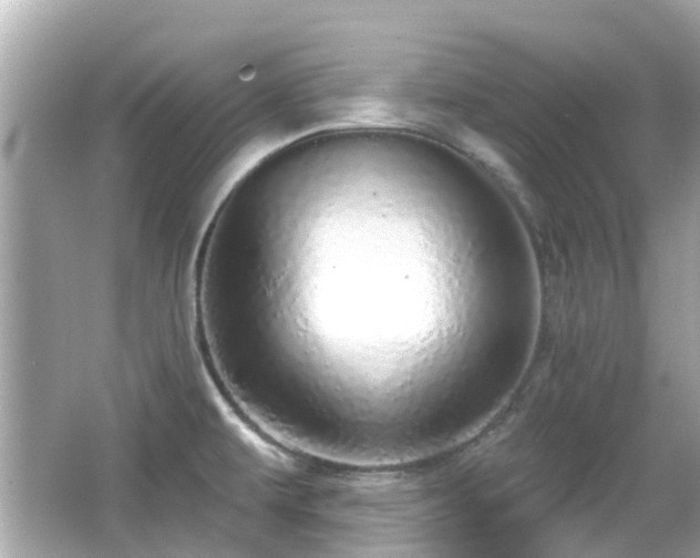 X0000066531479200603201347