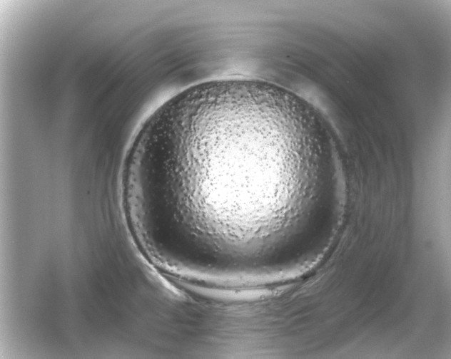 X0000066531480200603201347