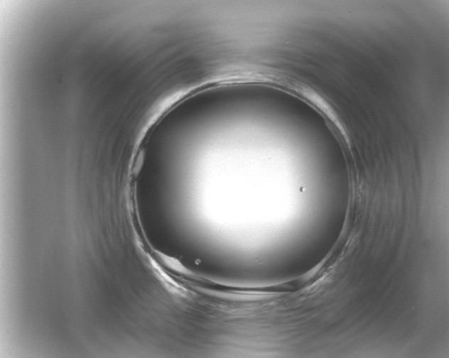 X0000066531485200603201347