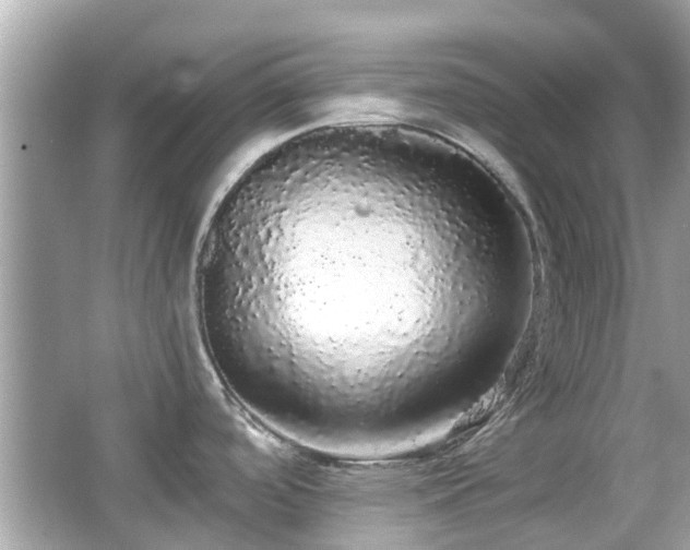 X0000066531488200603201347