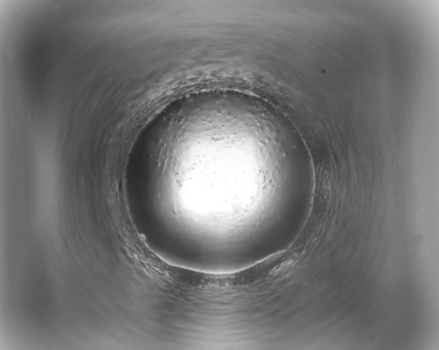 X0000066531489200603201346