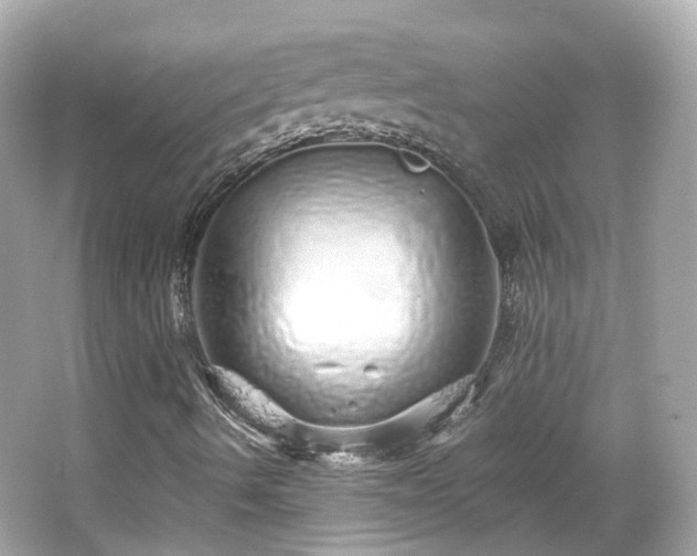 X0000066531490200603201346