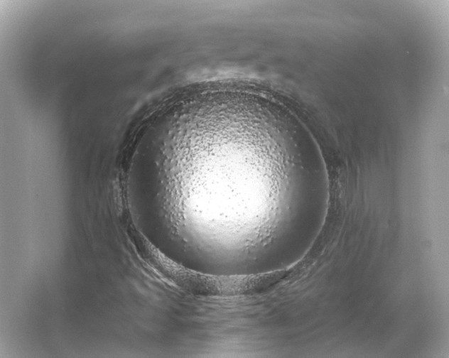 X0000066531493200603201346