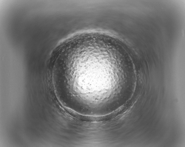 X0000066531494200603201346