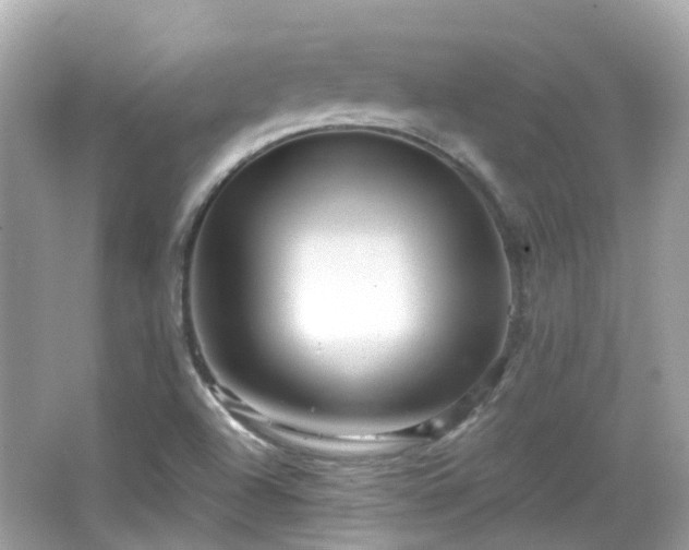 X0000066531504200603201346